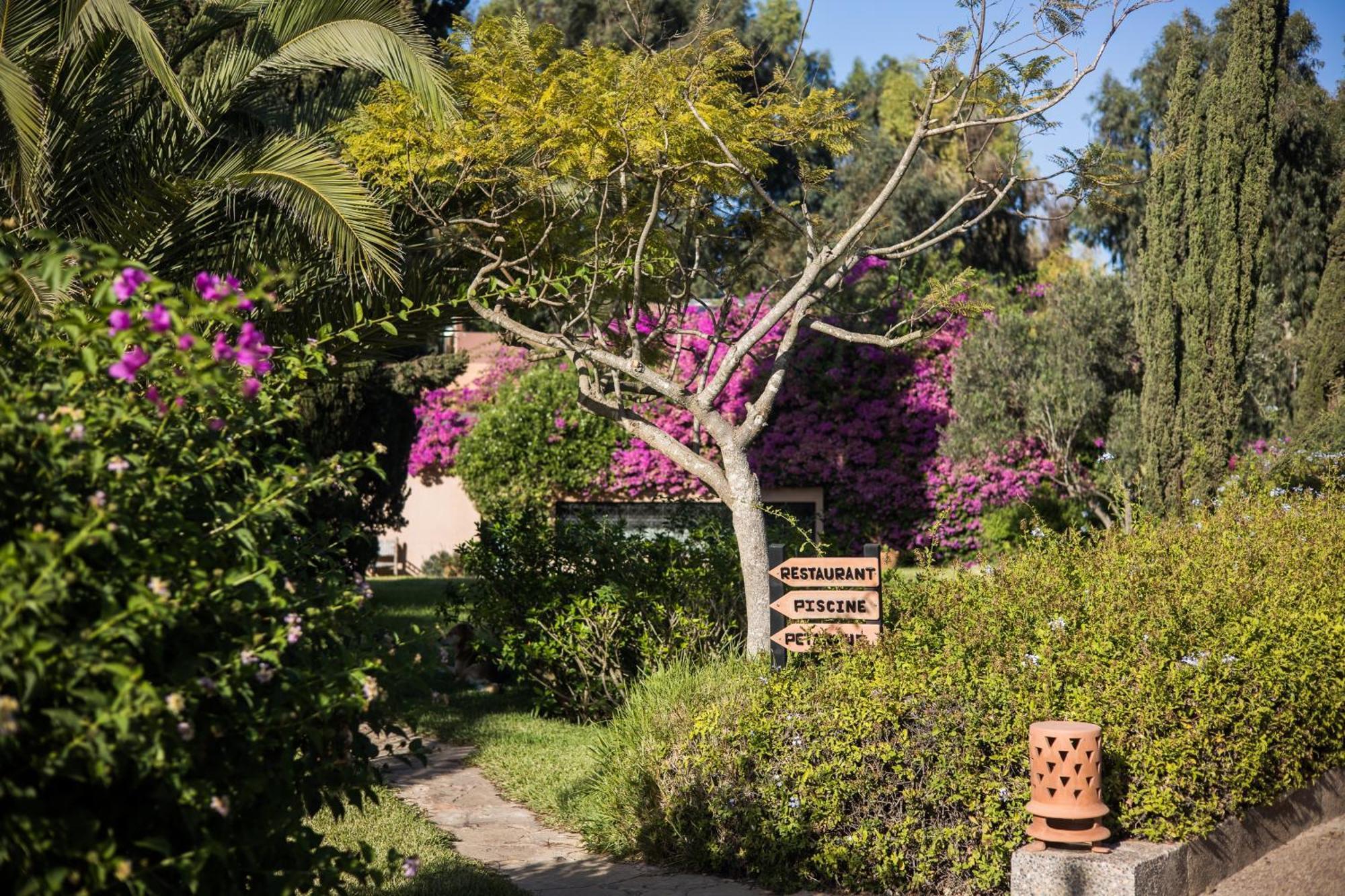 Bed and Breakfast Dar Maktoub Agádír Exteriér fotografie